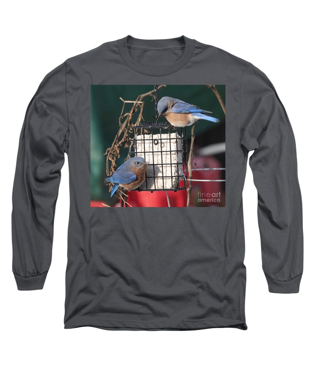 Bluebirds Long Sleeve T-Shirt featuring the photograph Winter Breakfast by Alice Mainville
