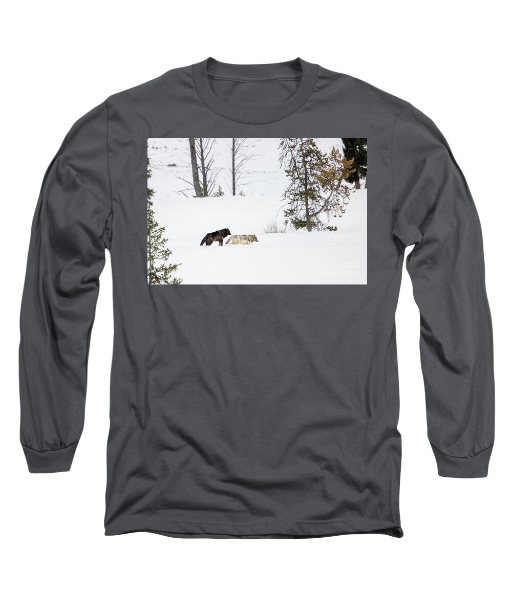 Wolves Long Sleeve T-Shirt featuring the photograph Winter's Love by Julie Argyle