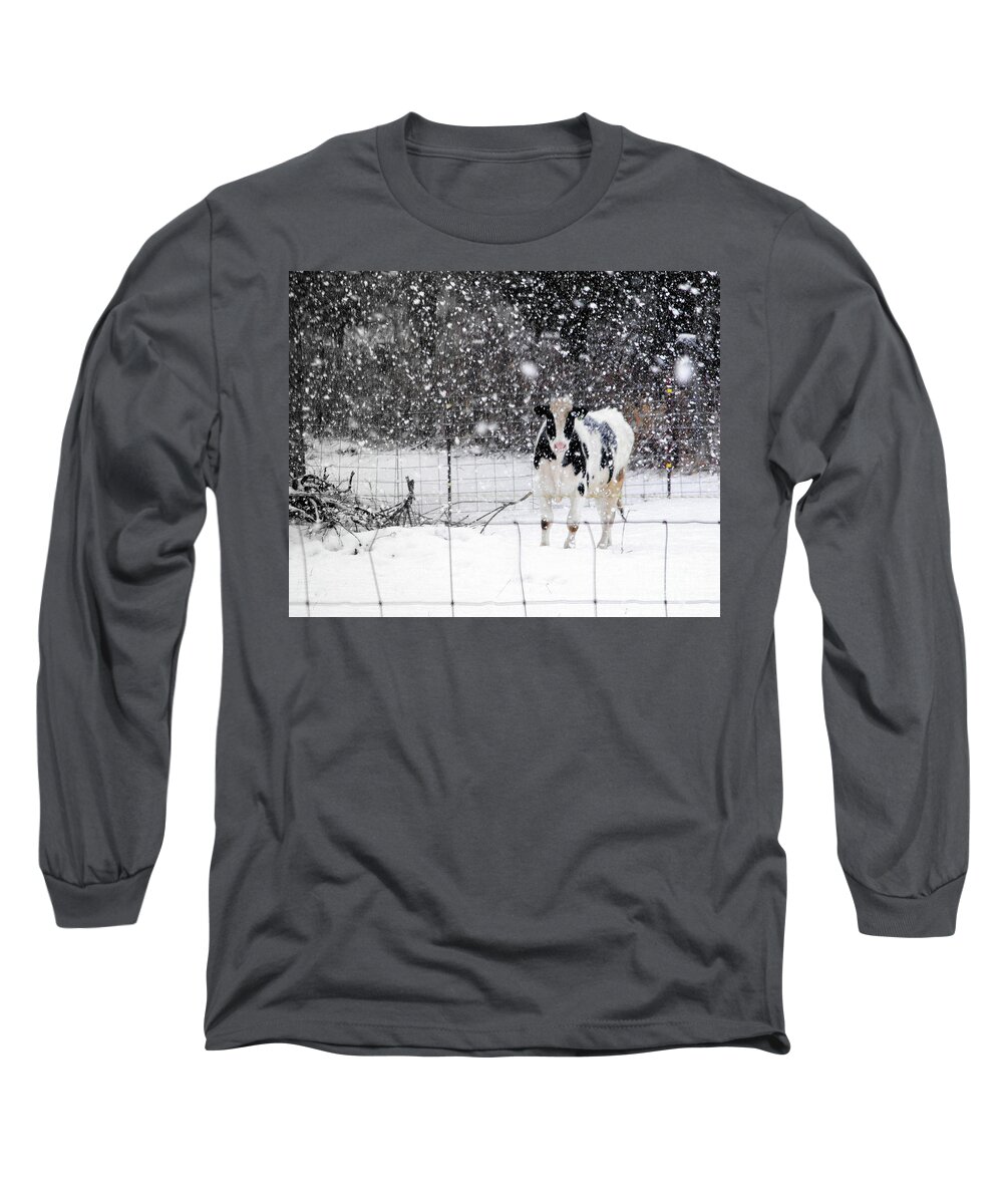 Animal Long Sleeve T-Shirt featuring the photograph Wisconsin Snow Cow by Ms Judi