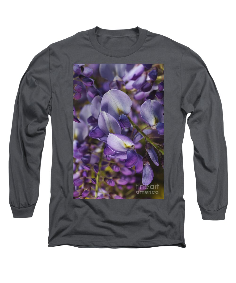 Acanthaceae Long Sleeve T-Shirt featuring the photograph Wisteria Grace by Joy Watson