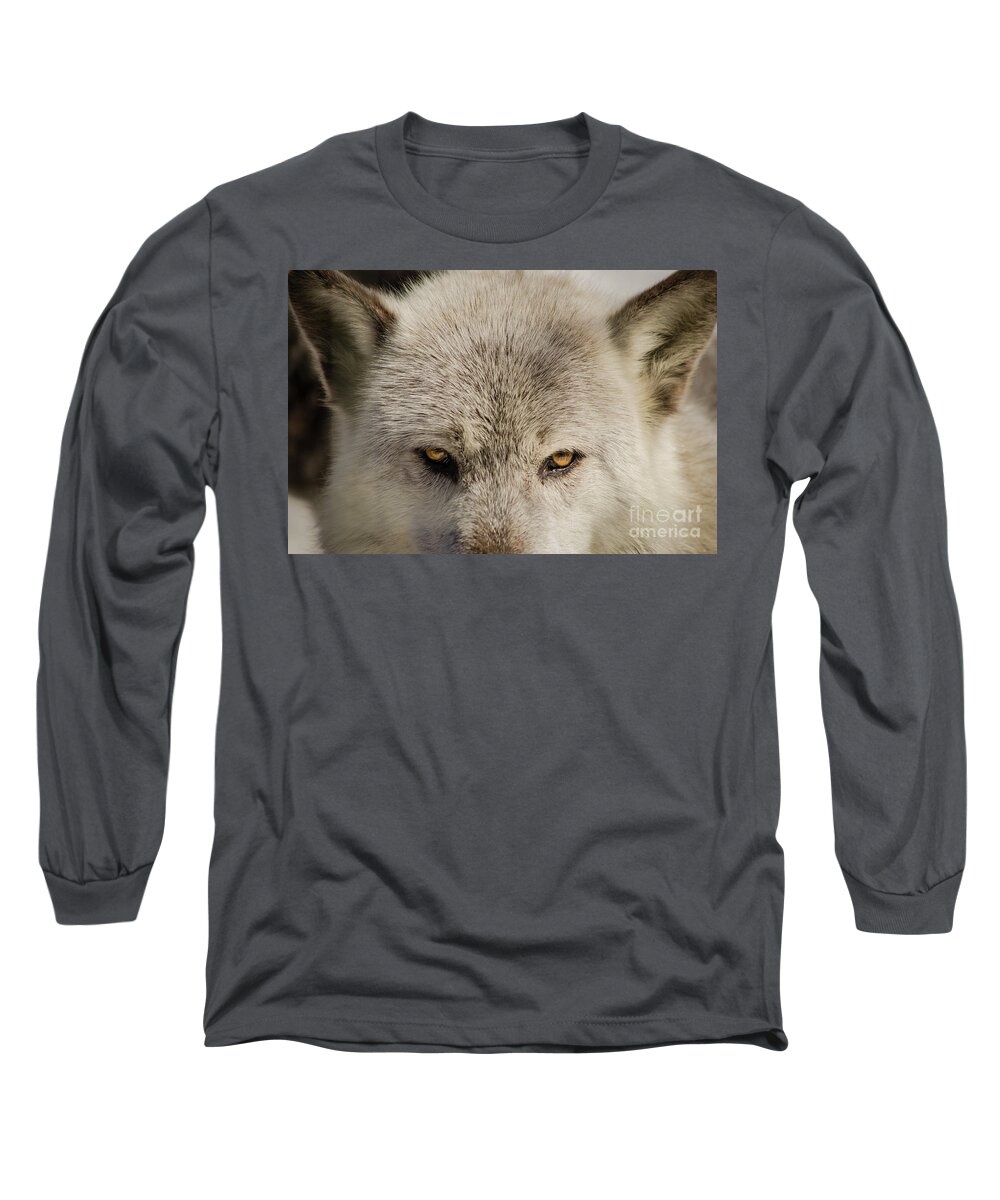 Portrait Long Sleeve T-Shirt featuring the photograph Wolf Eyes Animal / Wildlife Photograph by PIPA Fine Art - Simply Solid