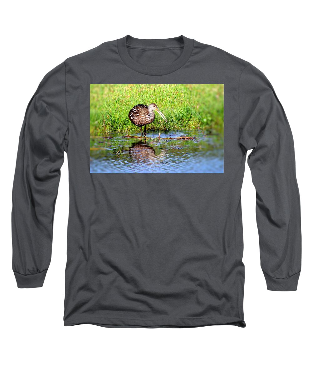 Wood Stork Long Sleeve T-Shirt featuring the photograph Wood Stork Searching For Food by Philip And Robbie Bracco