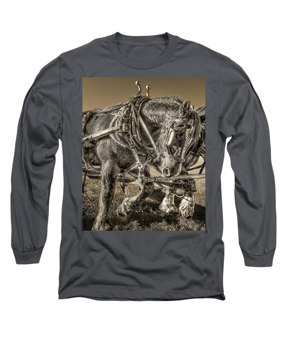 Horse Long Sleeve T-Shirt featuring the photograph Working Draft Horse, Sepia by Don Schimmel