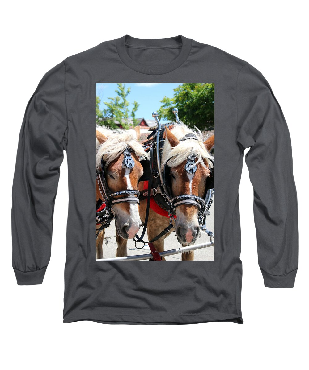 Horses Long Sleeve T-Shirt featuring the photograph Working Horses at Solvang California by Colleen Cornelius