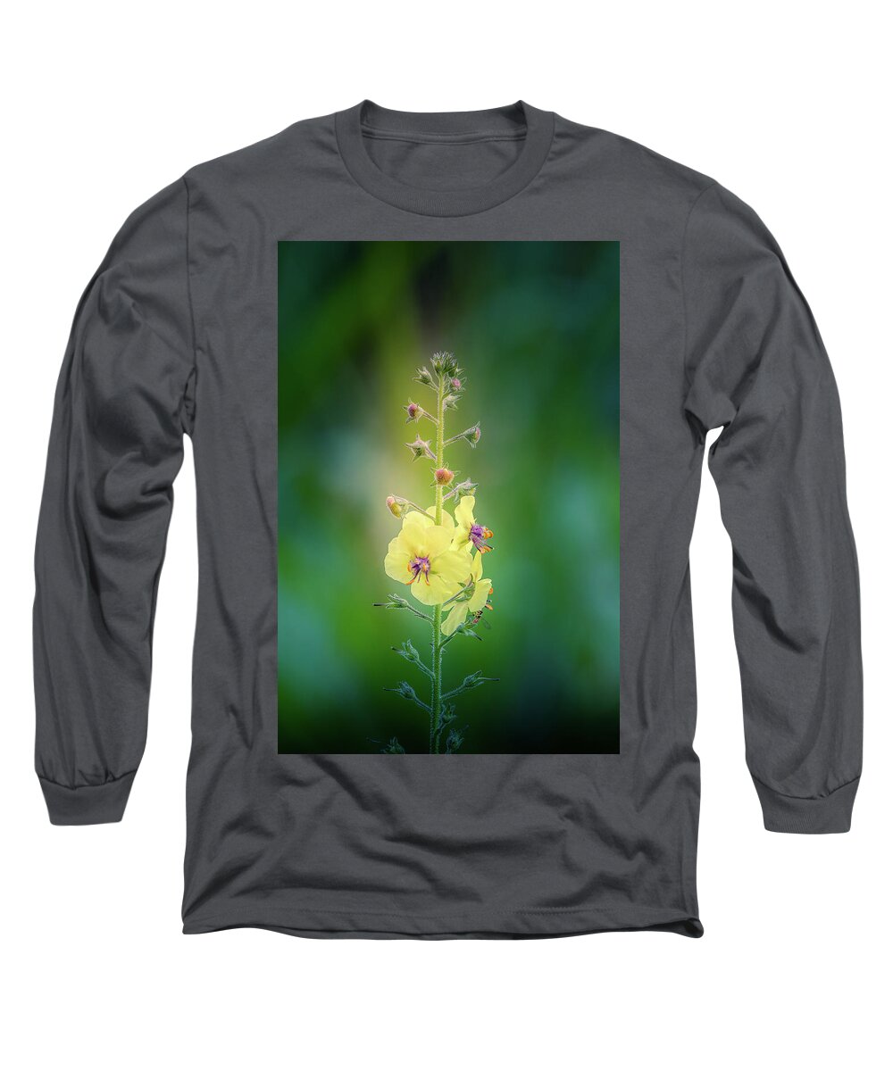 Flower Long Sleeve T-Shirt featuring the photograph Yellow and Green by Allin Sorenson
