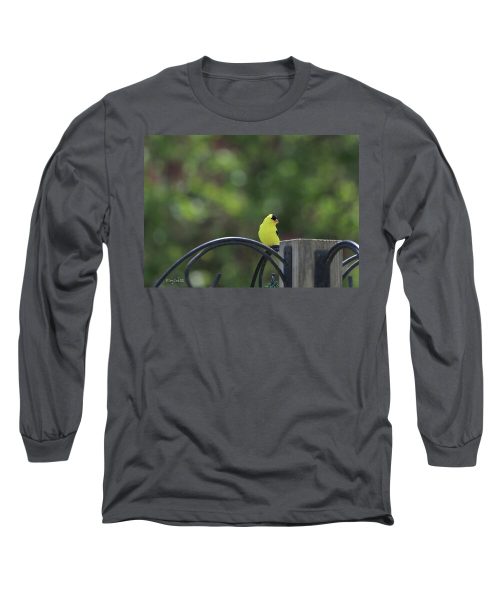 Wild Birds Long Sleeve T-Shirt featuring the photograph Yellow Finch Male 2 by Terry Cork