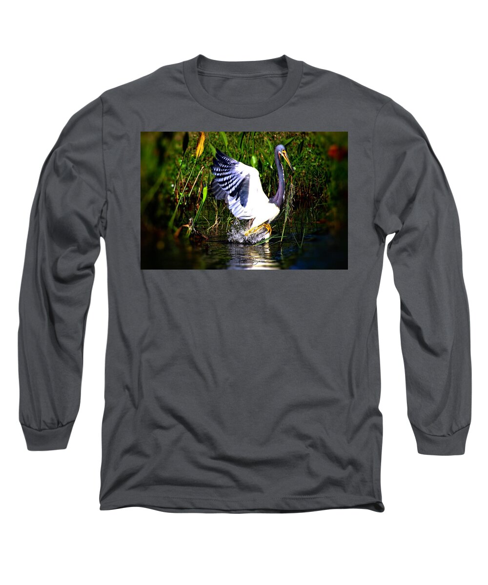Young Long Sleeve T-Shirt featuring the photograph Young Blue Heron Dancing In The Water by Philip And Robbie Bracco