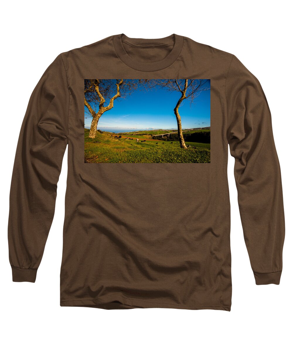 Art Long Sleeve T-Shirt featuring the photograph Between Two Trees #1 by Joseph Amaral