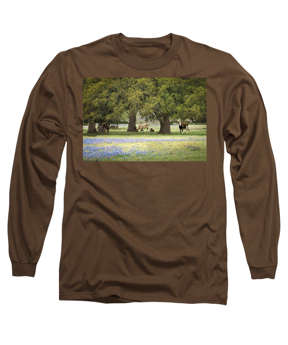 Landscape Long Sleeve T-Shirt featuring the photograph Bluebonnets and Bovines #1 by Debbie Karnes
