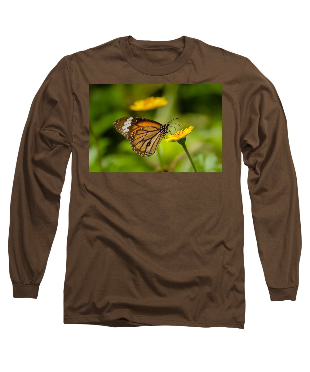 Brush-footed Butterfly Long Sleeve T-Shirt featuring the photograph Butterfly - Common Tiger by SAURAVphoto Online Store