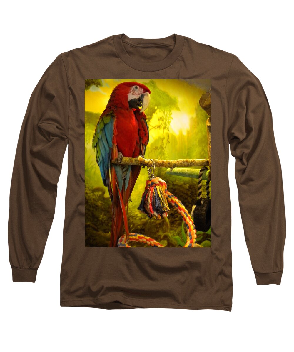 Colette Long Sleeve T-Shirt featuring the photograph Lucky Look #1 by Colette V Hera Guggenheim