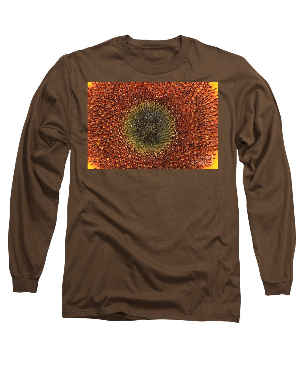 Background Long Sleeve T-Shirt featuring the photograph Sunflower Seeds by Amanda Mohler
