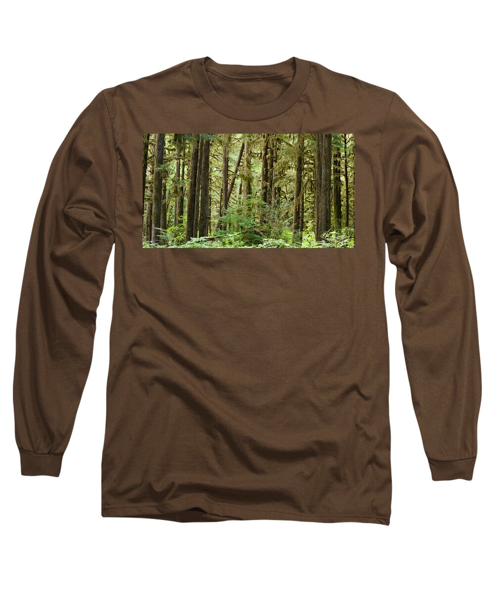 Photography Long Sleeve T-Shirt featuring the photograph Trees In A Forest, Quinault Rainforest #1 by Panoramic Images
