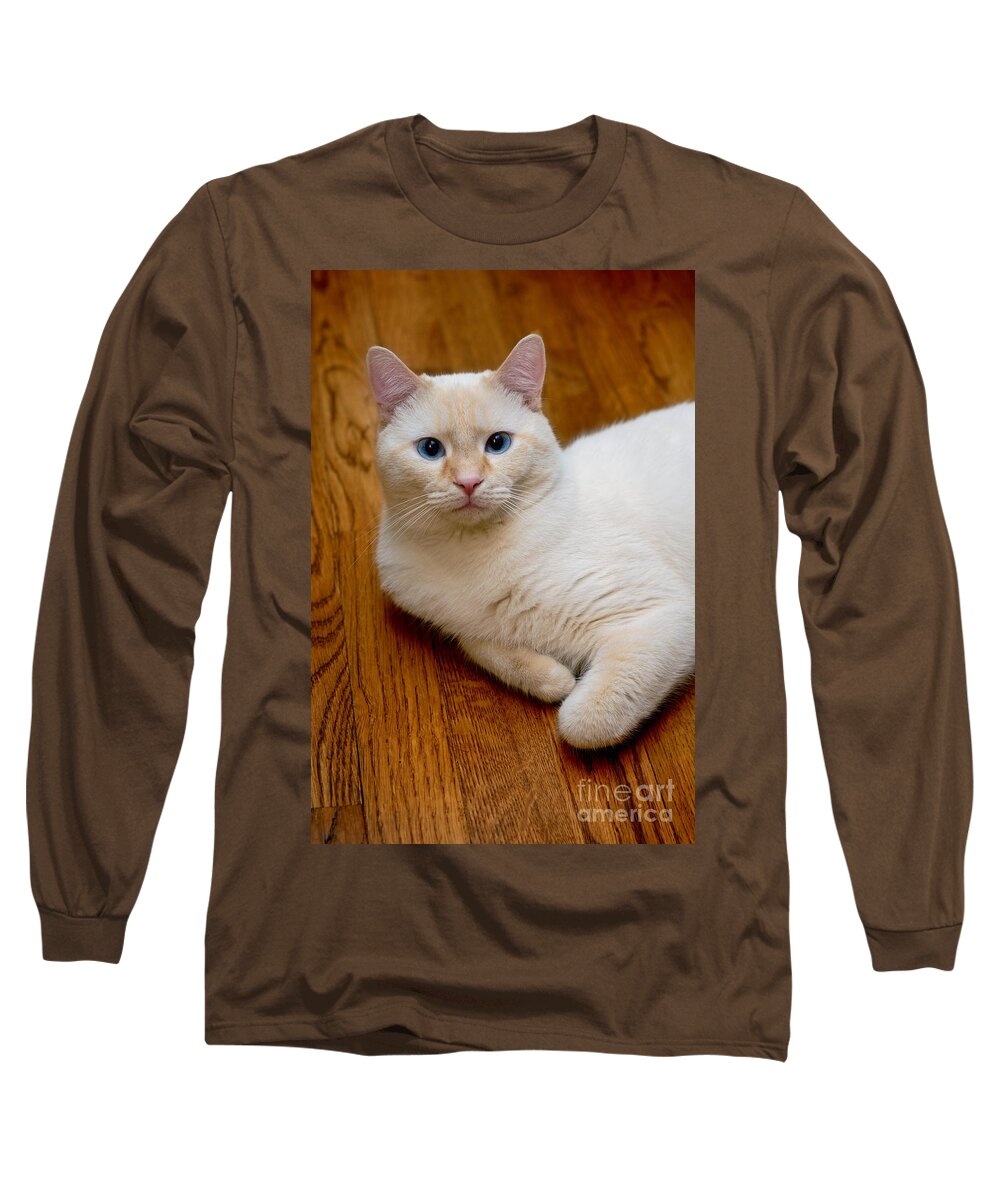 Blue Eyes Long Sleeve T-Shirt featuring the photograph Flame Point Siamese Cat #15 by Amy Cicconi