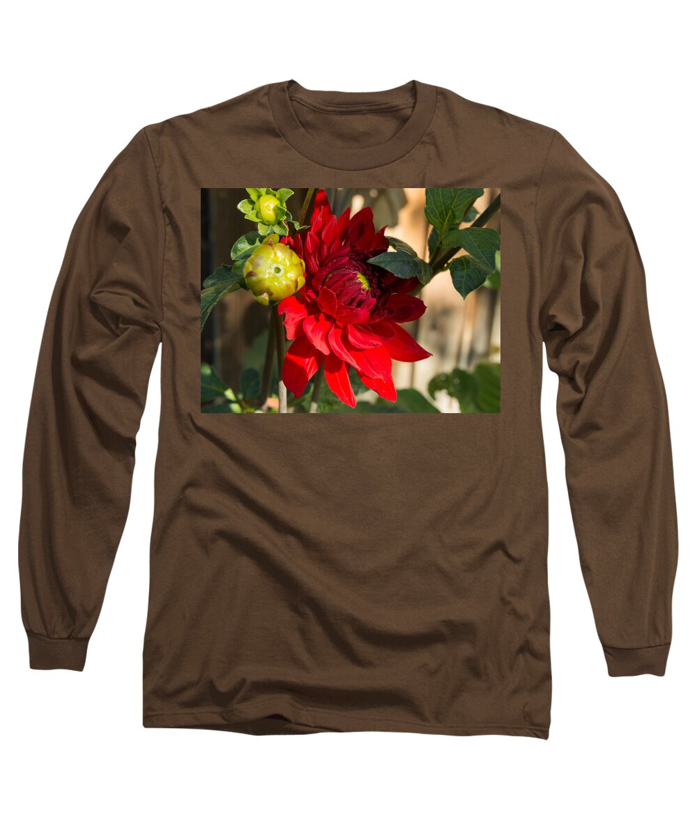Dahlia Long Sleeve T-Shirt featuring the photograph Red Dahlia #2 by Weir Here And There