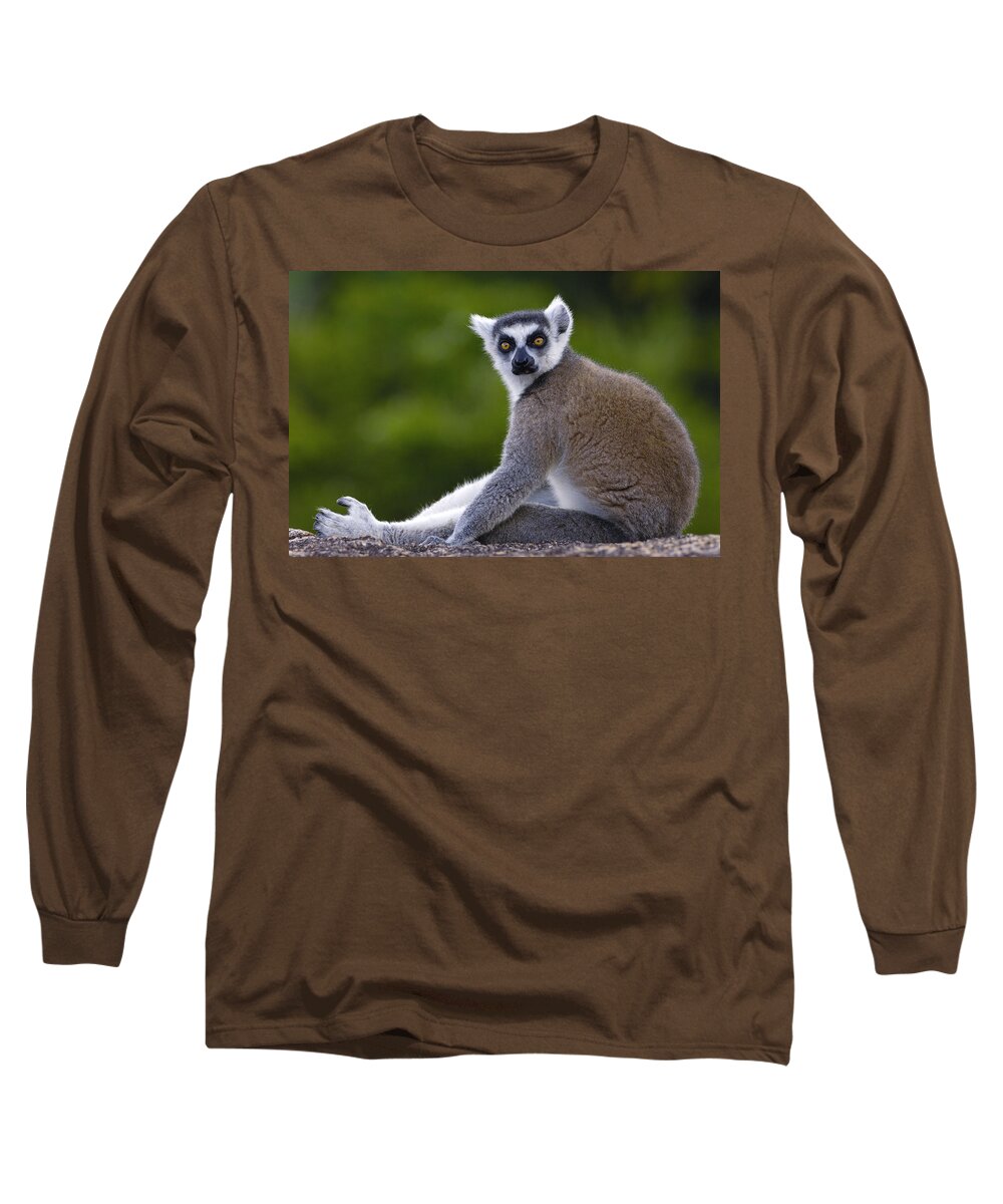Feb0514 Long Sleeve T-Shirt featuring the photograph Ring-tailed Lemur Portrait Madagascar #2 by Pete Oxford