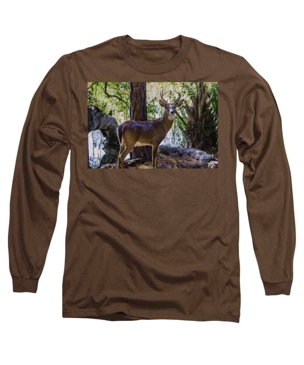 8 Point Buck Long Sleeve T-Shirt featuring the photograph 8 Point Buck Along The Wando River by Dale Powell