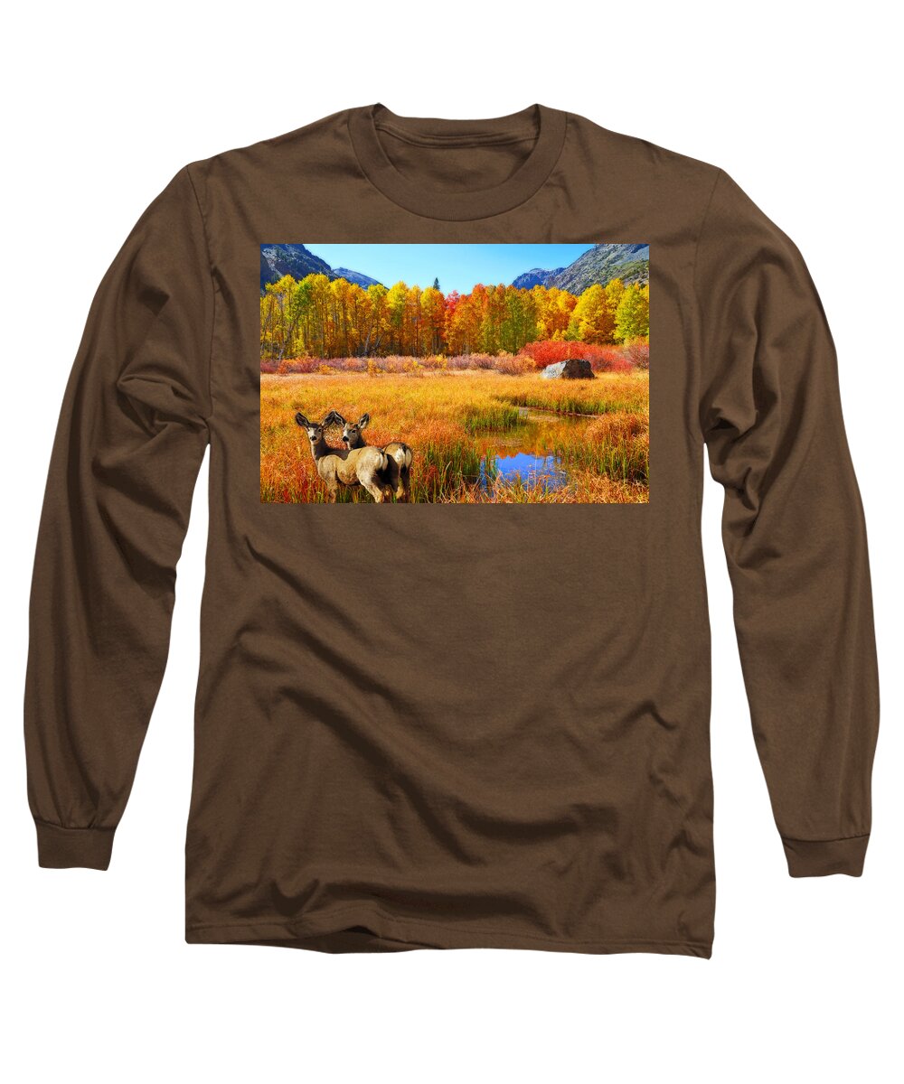 Aspen Long Sleeve T-Shirt featuring the photograph A Beautiful Autumn Day by Lynn Bauer