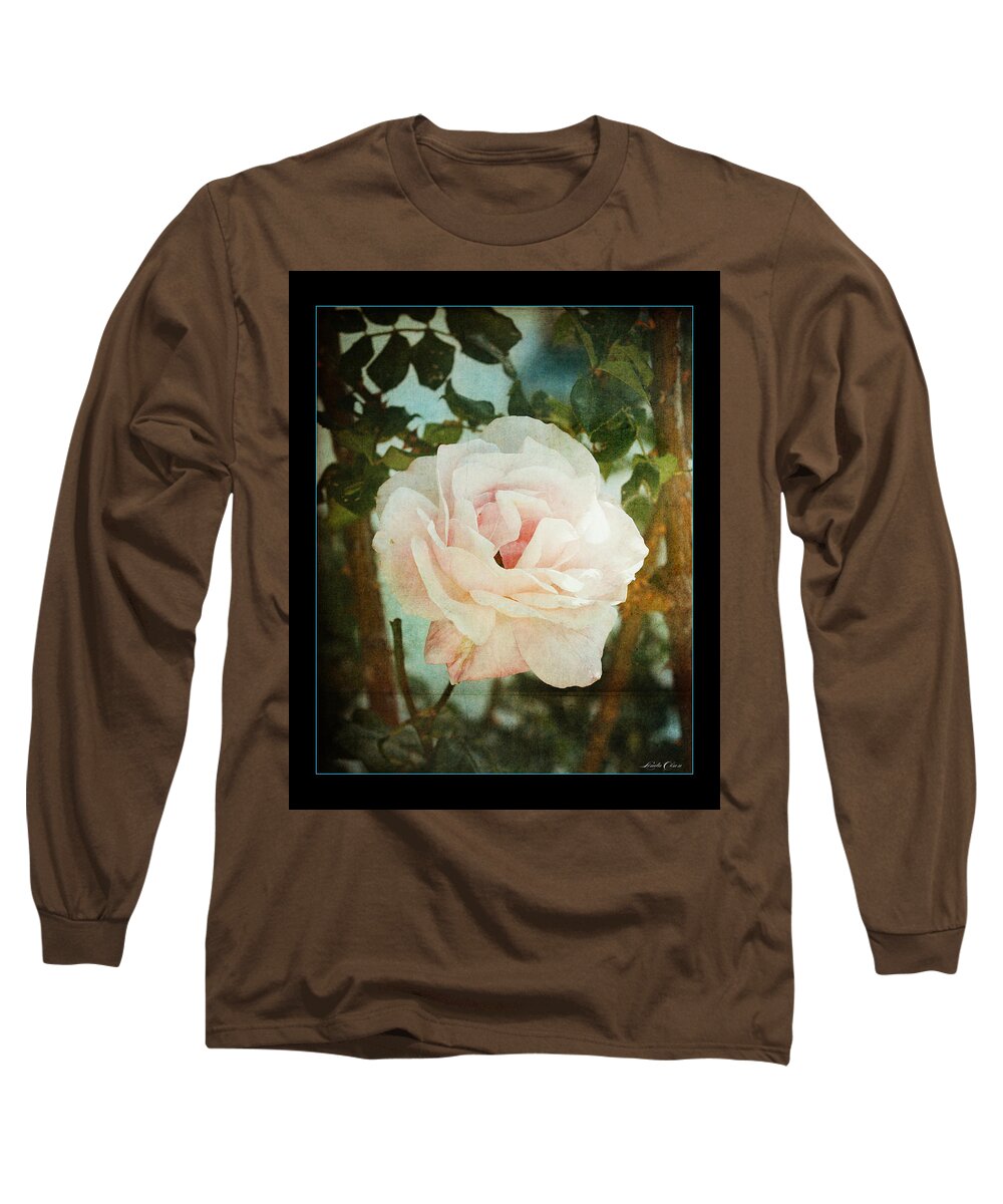 Flowers Long Sleeve T-Shirt featuring the photograph A rose is a rose by Linda Olsen