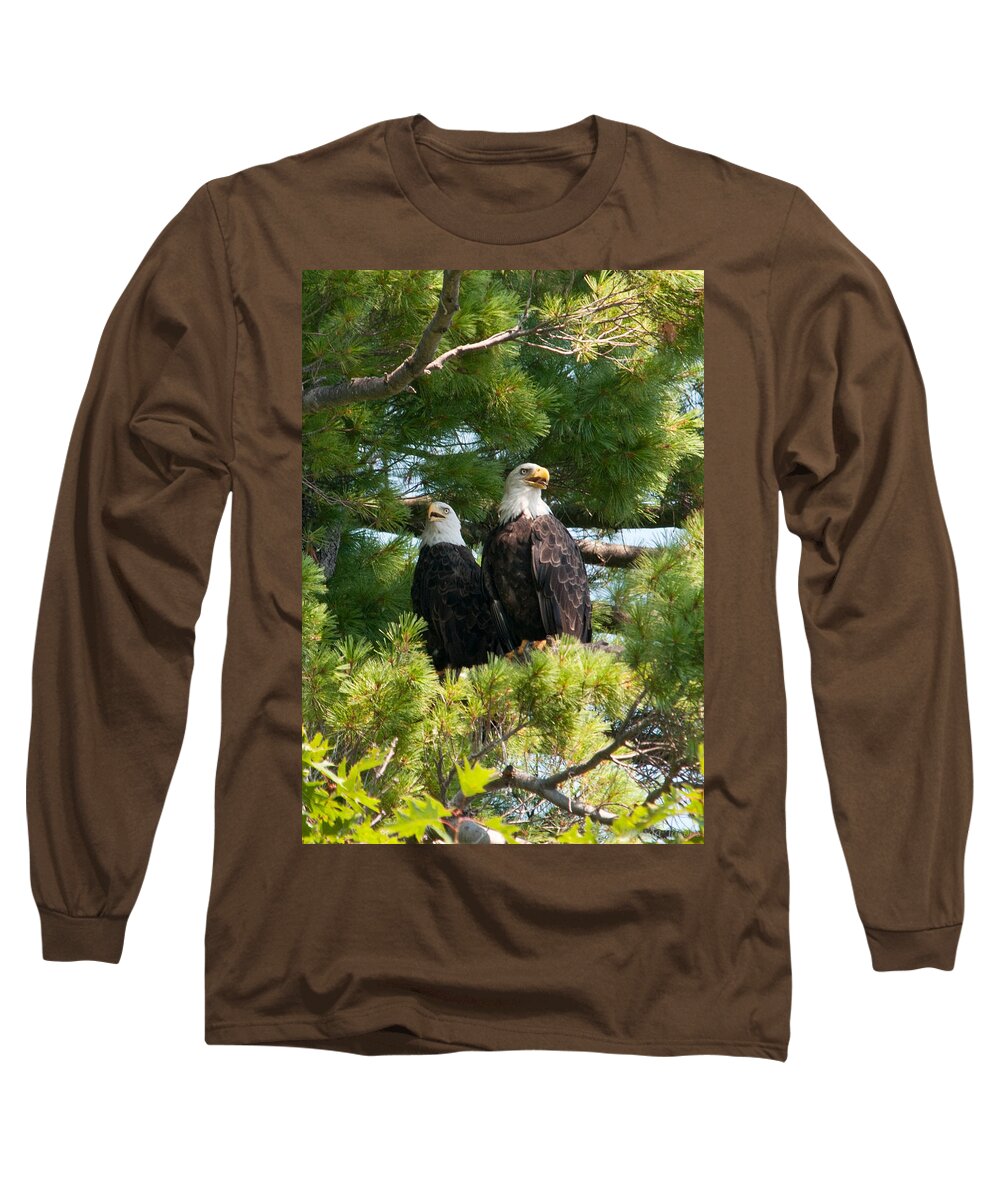 Bald Eagle Long Sleeve T-Shirt featuring the photograph A Watchful Pair by Brenda Jacobs