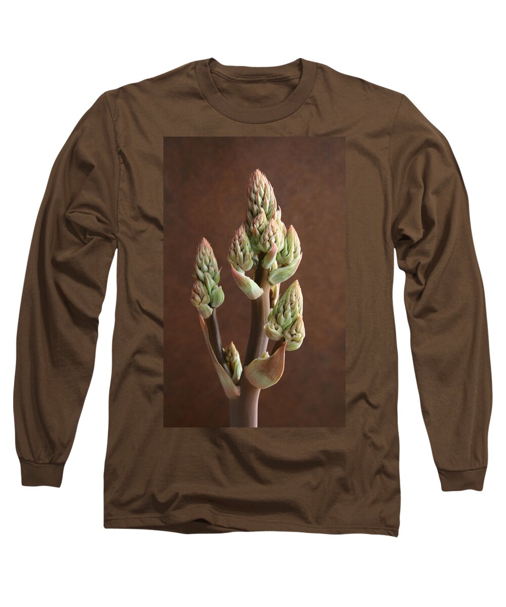 Aloe Maculata Long Sleeve T-Shirt featuring the photograph Aloe Maculata by Marna Edwards Flavell