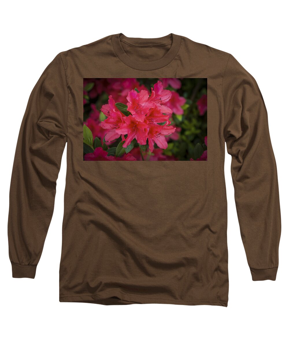 April Long Sleeve T-Shirt featuring the photograph Azaleas 1 by Penny Lisowski