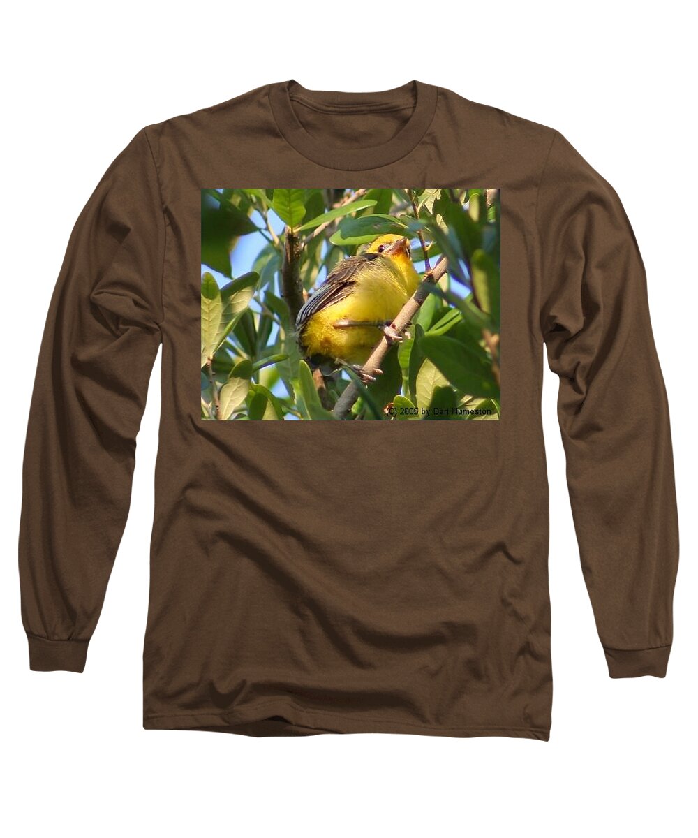Birds Long Sleeve T-Shirt featuring the photograph Baby Spot Breasted Oriole by Dart Humeston