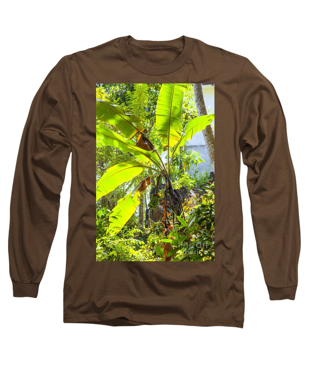 Banana Long Sleeve T-Shirt featuring the photograph Banana Palm Tree With Luminous Shine by Gina Koch