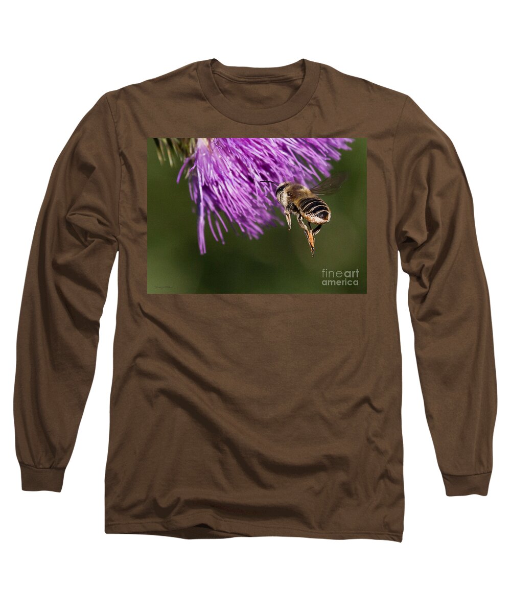Honey Bee Long Sleeve T-Shirt featuring the photograph Bee Butt by Jan Killian