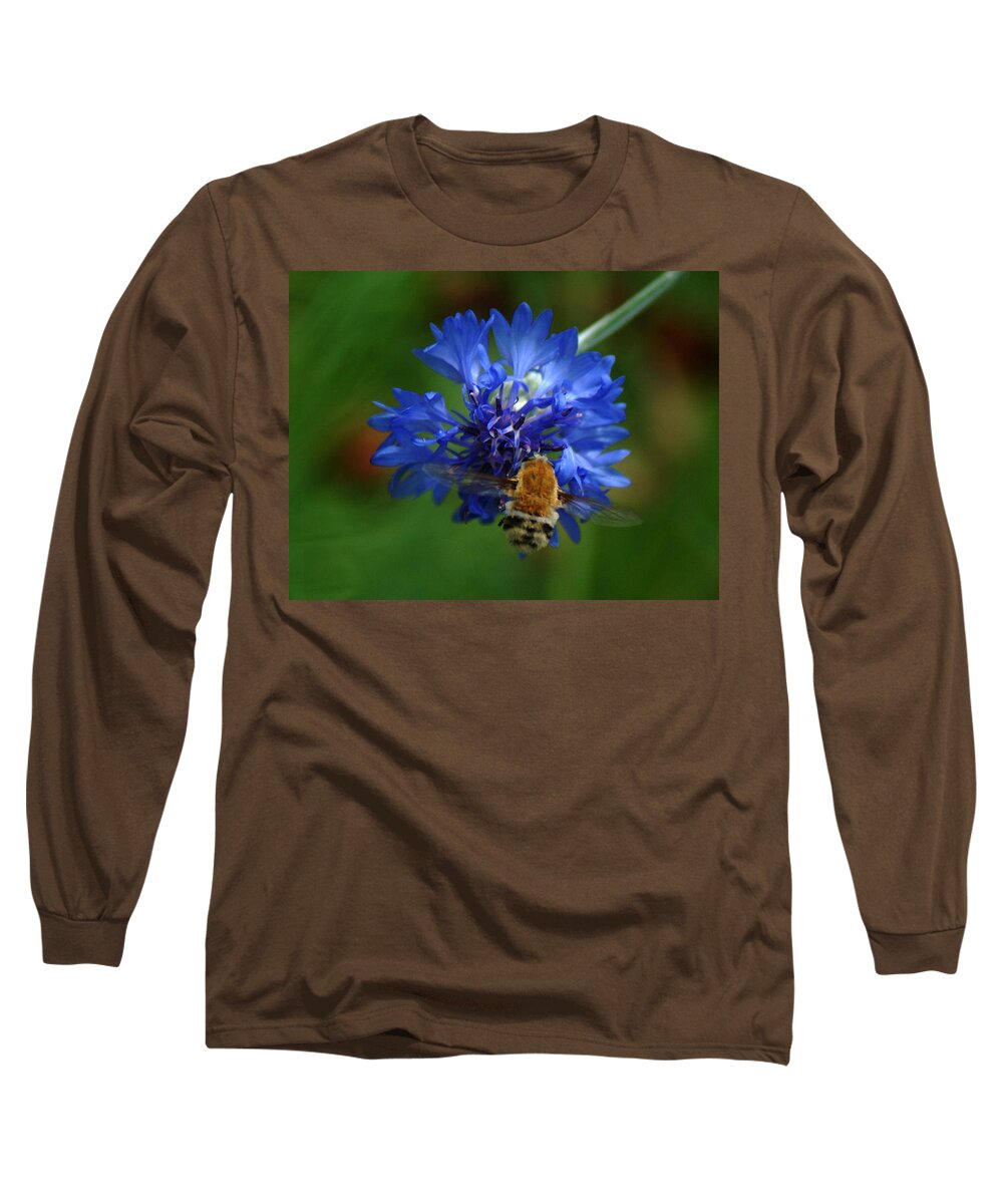 Bee Long Sleeve T-Shirt featuring the photograph Bee by Leticia Latocki