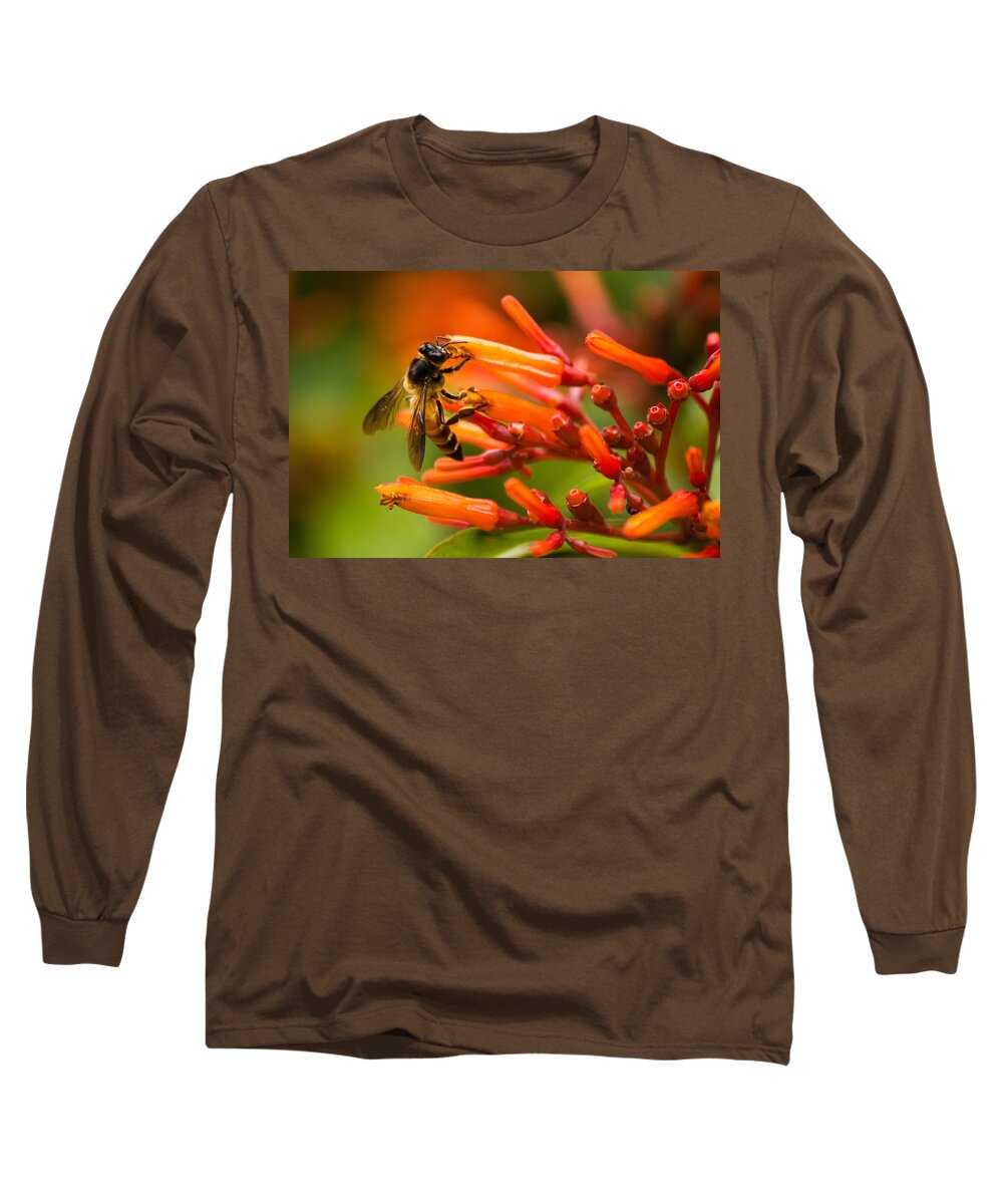 Anthophila Long Sleeve T-Shirt featuring the photograph Bee on firebush flower by SAURAVphoto Online Store
