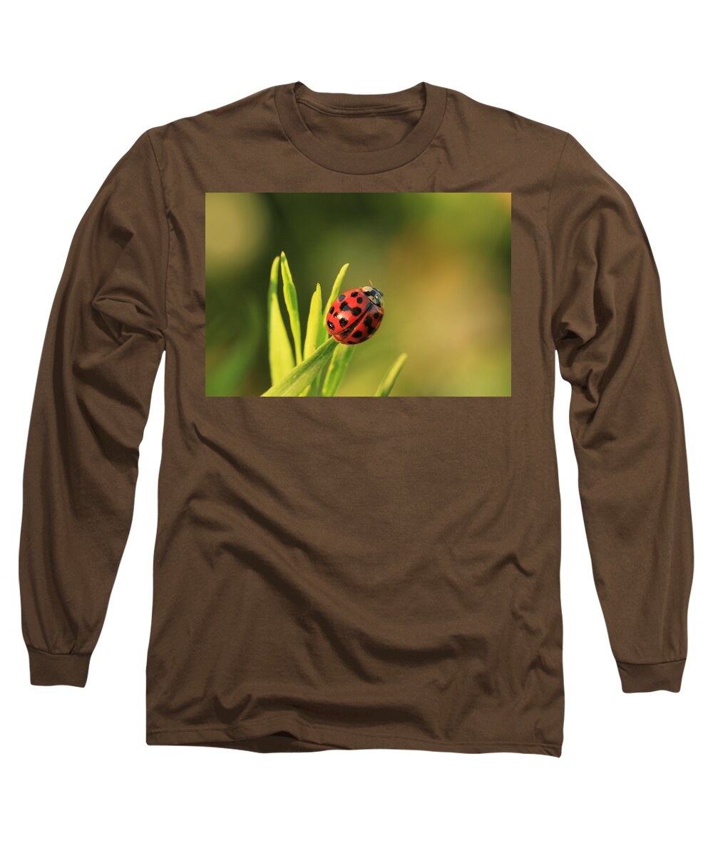  Long Sleeve T-Shirt featuring the photograph Beruska by Laddie Halupa