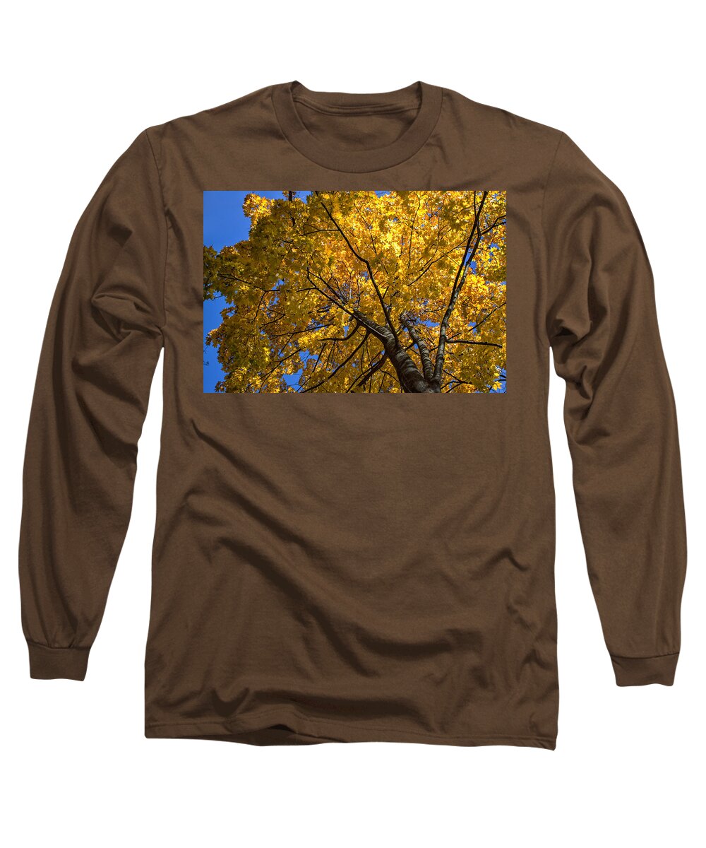 Landscape Long Sleeve T-Shirt featuring the photograph Bright eyes by Rob Dietrich