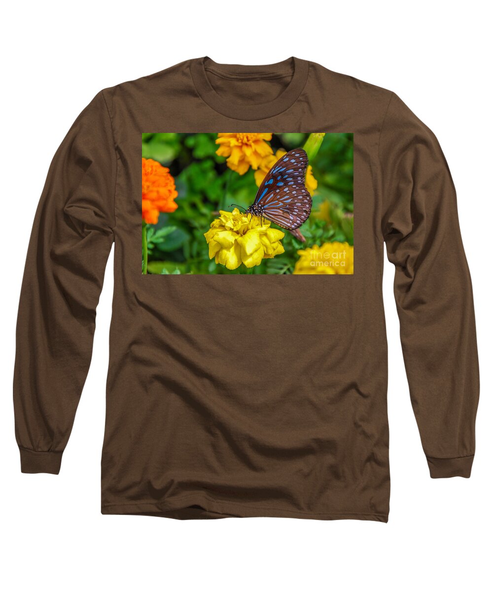 Butterfly Long Sleeve T-Shirt featuring the photograph Butterfly On Yellow Marigold by Mary Carol Story