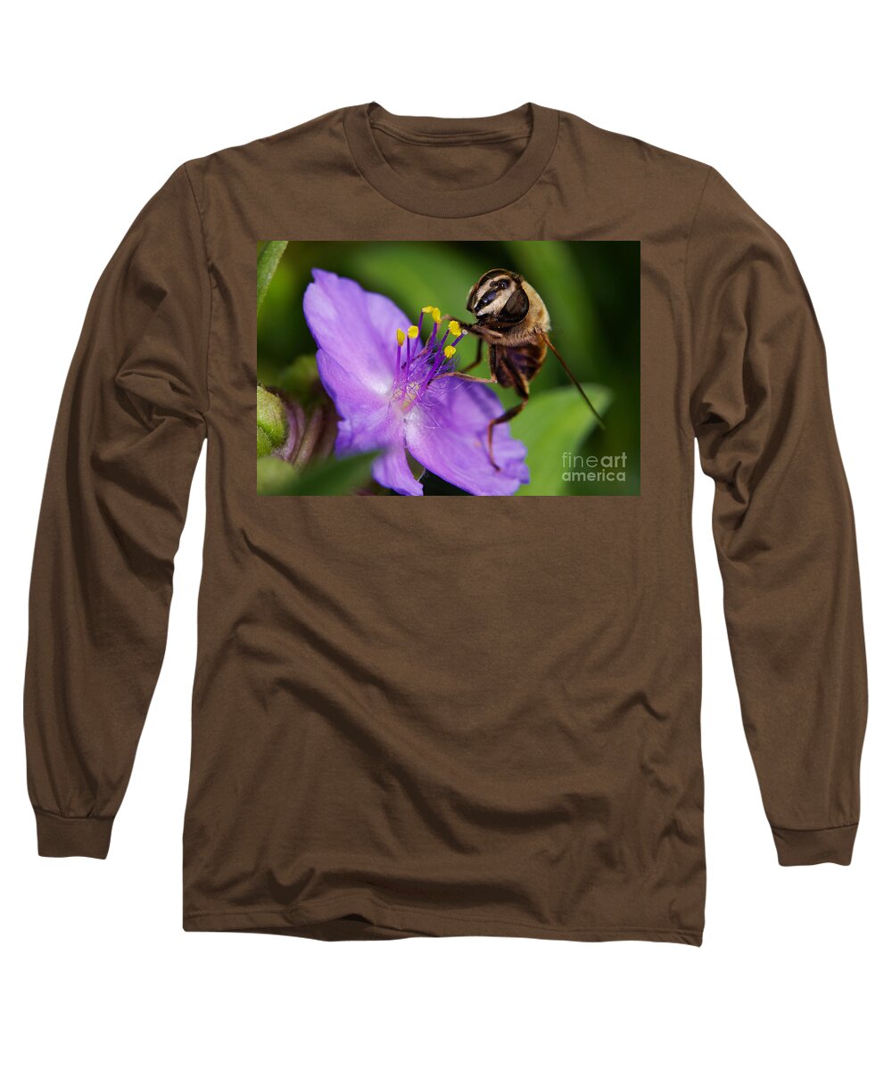 Closeup Long Sleeve T-Shirt featuring the photograph Closeup of a bee on a purple flower by Nick Biemans