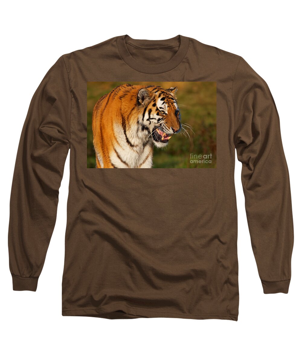 Tiger Long Sleeve T-Shirt featuring the photograph Closeup portrait of a Siberian tiger by Nick Biemans
