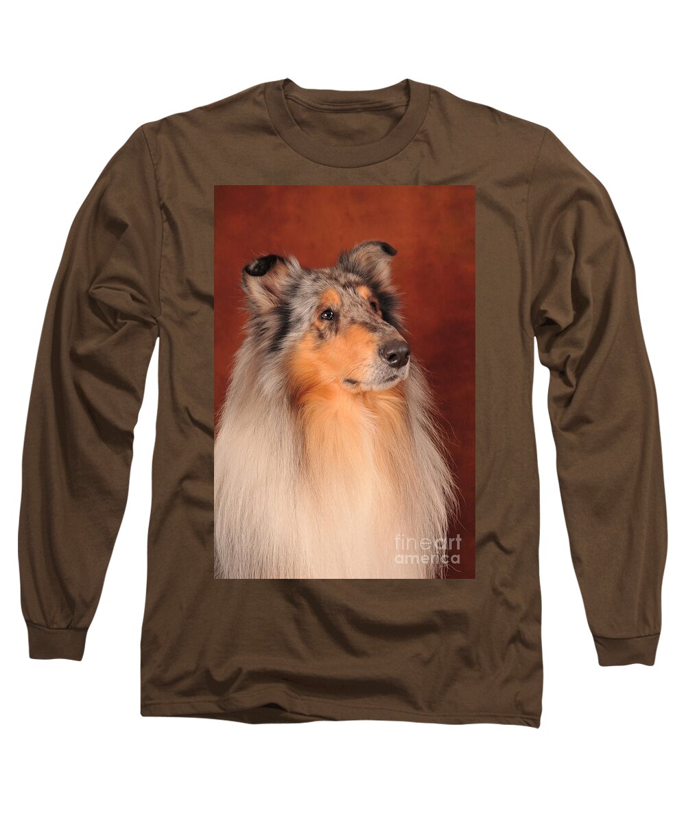 Collie Long Sleeve T-Shirt featuring the photograph Collie Portrait by Randi Grace Nilsberg