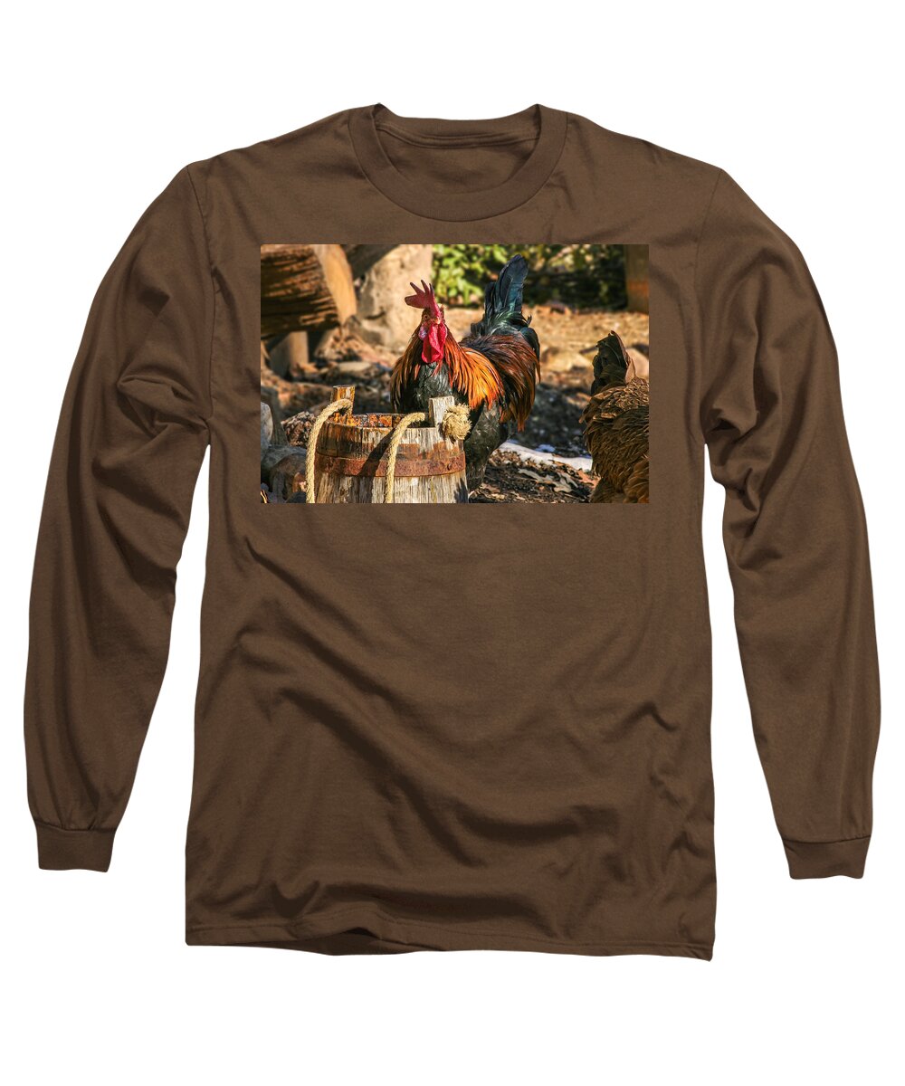 Agriculture Long Sleeve T-Shirt featuring the photograph Colorful Rooster by Mary Almond