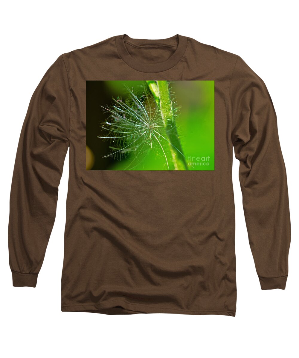 Flower Long Sleeve T-Shirt featuring the photograph Delicate flakes by PatriZio M Busnel