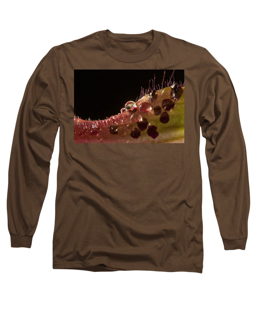 Lady Slipper Long Sleeve T-Shirt featuring the photograph Lady Slipper Orchid Super Macro by Jean Noren