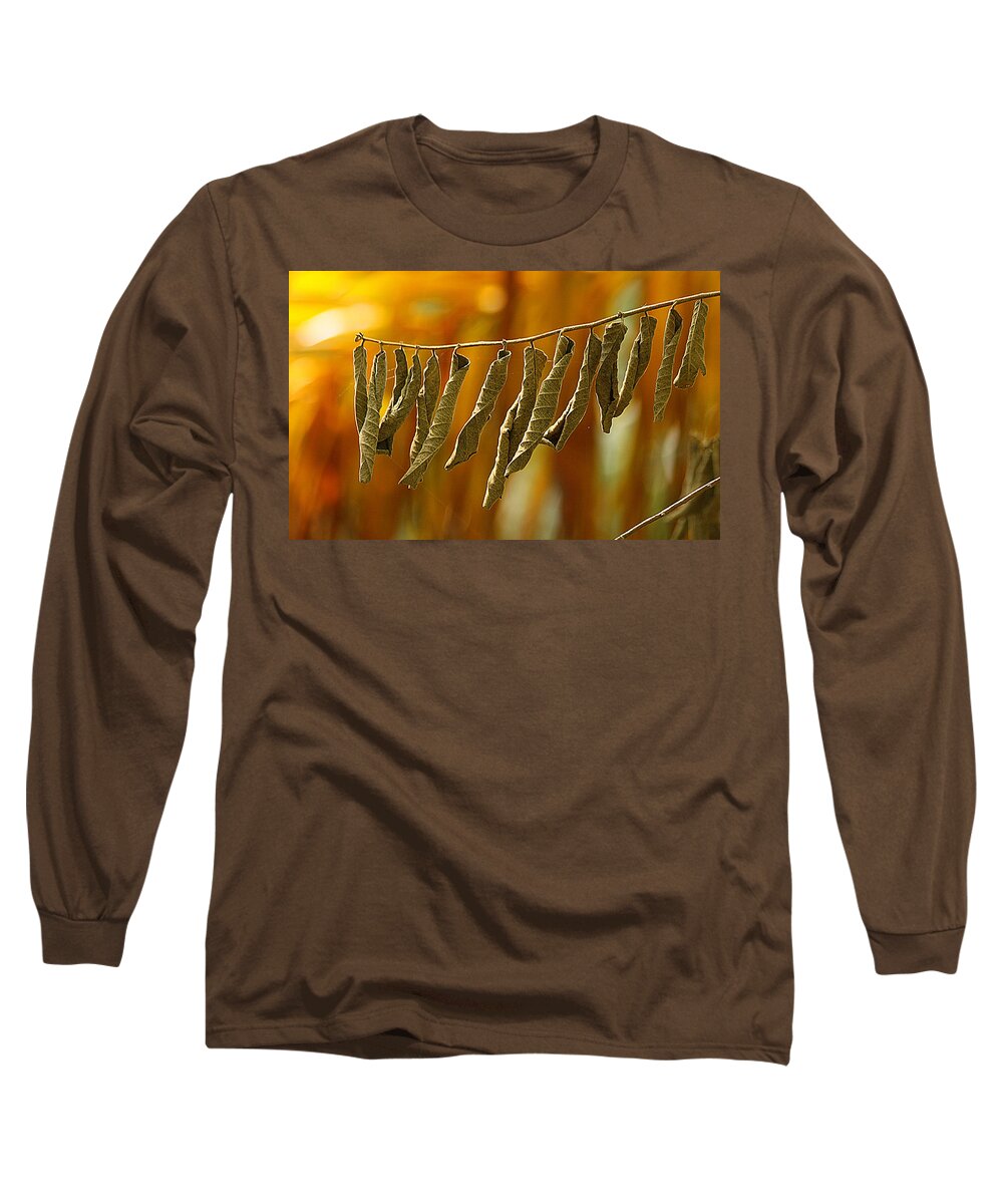 Nature Long Sleeve T-Shirt featuring the photograph Dried Dreams by Dart Humeston