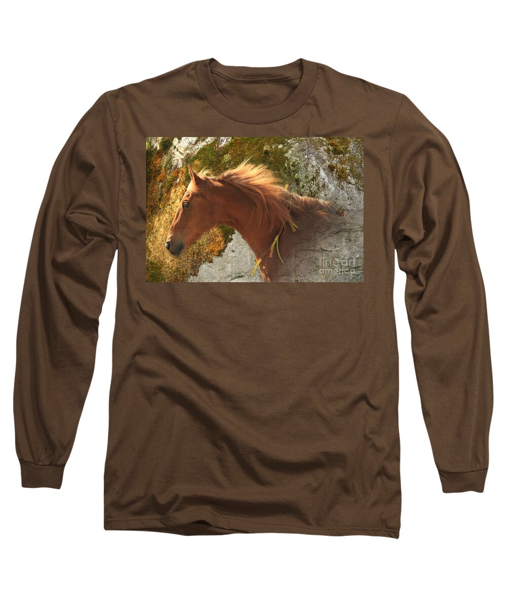 Horse Long Sleeve T-Shirt featuring the digital art Emerging Free by Michelle Twohig
