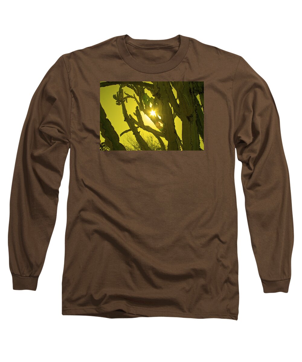 Cactus Long Sleeve T-Shirt featuring the photograph Euphorbia by Andre Aleksis