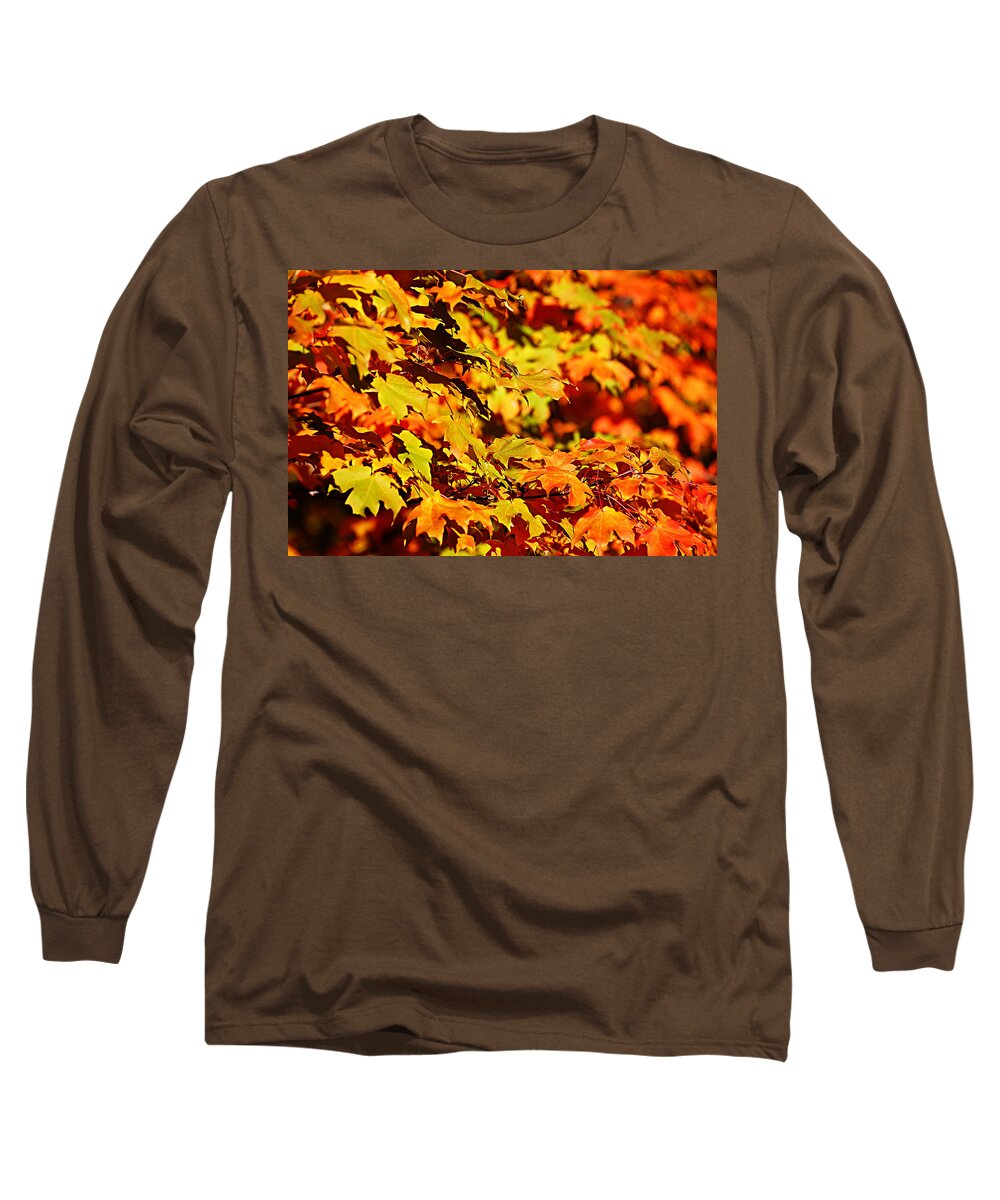 Autumn Long Sleeve T-Shirt featuring the photograph Fall Foliage Colors 13 by Metro DC Photography
