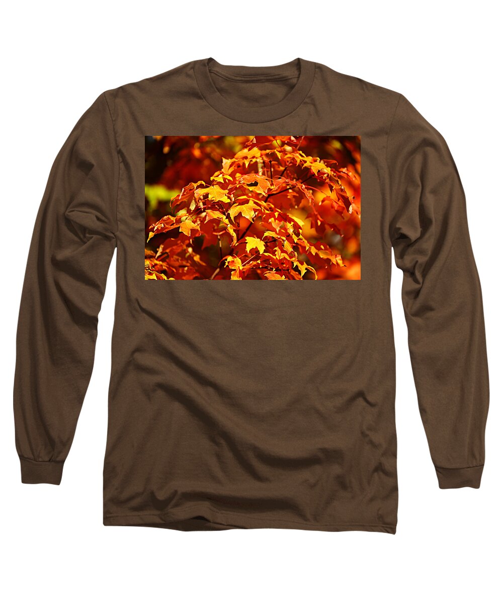 Autumn Long Sleeve T-Shirt featuring the photograph Fall Foliage Colors 14 by Metro DC Photography