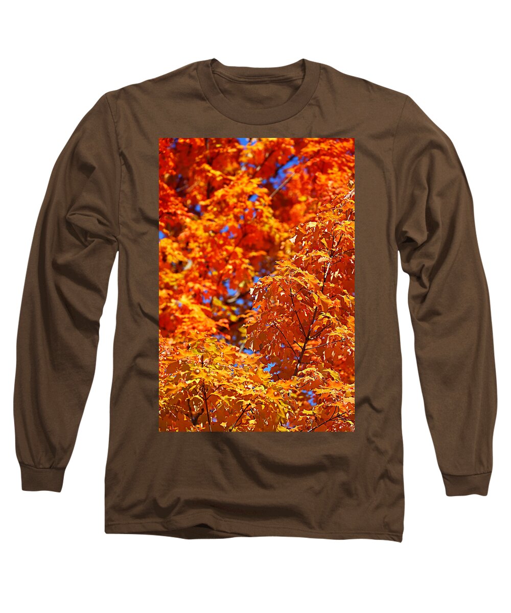 Autumn Long Sleeve T-Shirt featuring the photograph Fall Foliage Colors 17 by Metro DC Photography