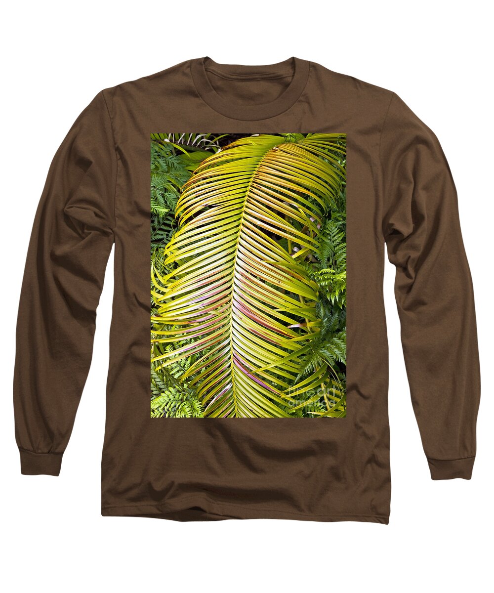 Kate Brown Long Sleeve T-Shirt featuring the photograph Ferns by Kate Brown