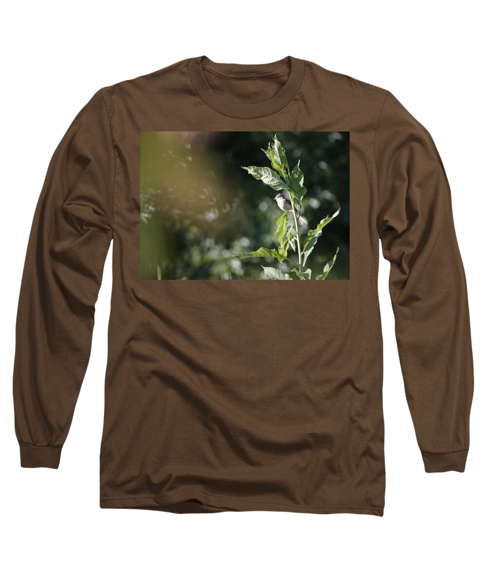 Field Sparrow Long Sleeve T-Shirt featuring the photograph Field Sparrow by Melinda Fawver