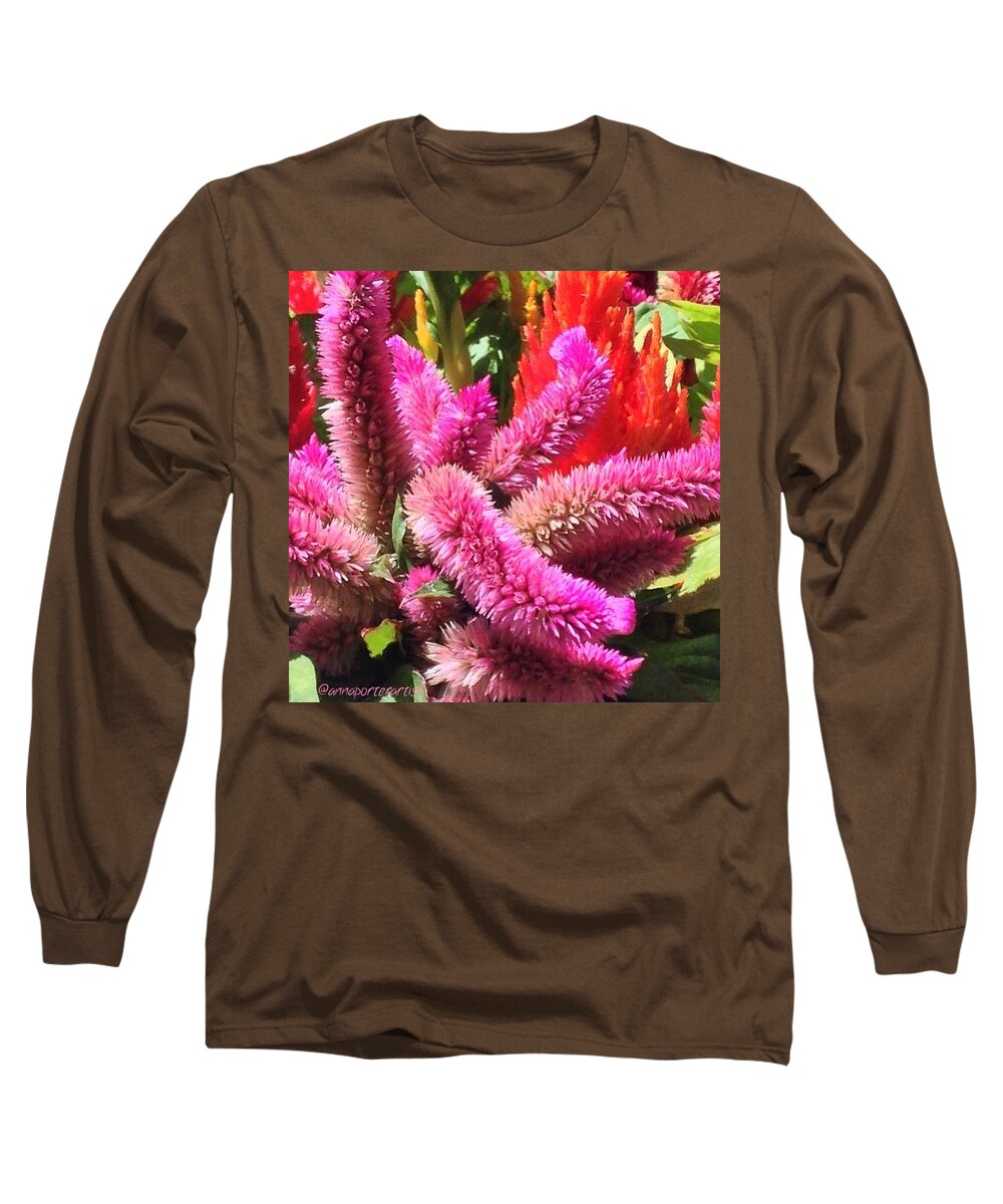 Annasgardens Long Sleeve T-Shirt featuring the photograph Fuzzies!! Love How These Plants Look by Anna Porter