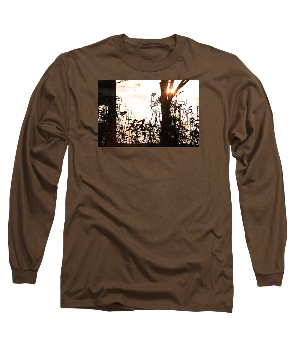 Flower Artwork Long Sleeve T-Shirt featuring the photograph Glowing Landscape by Mary Buck